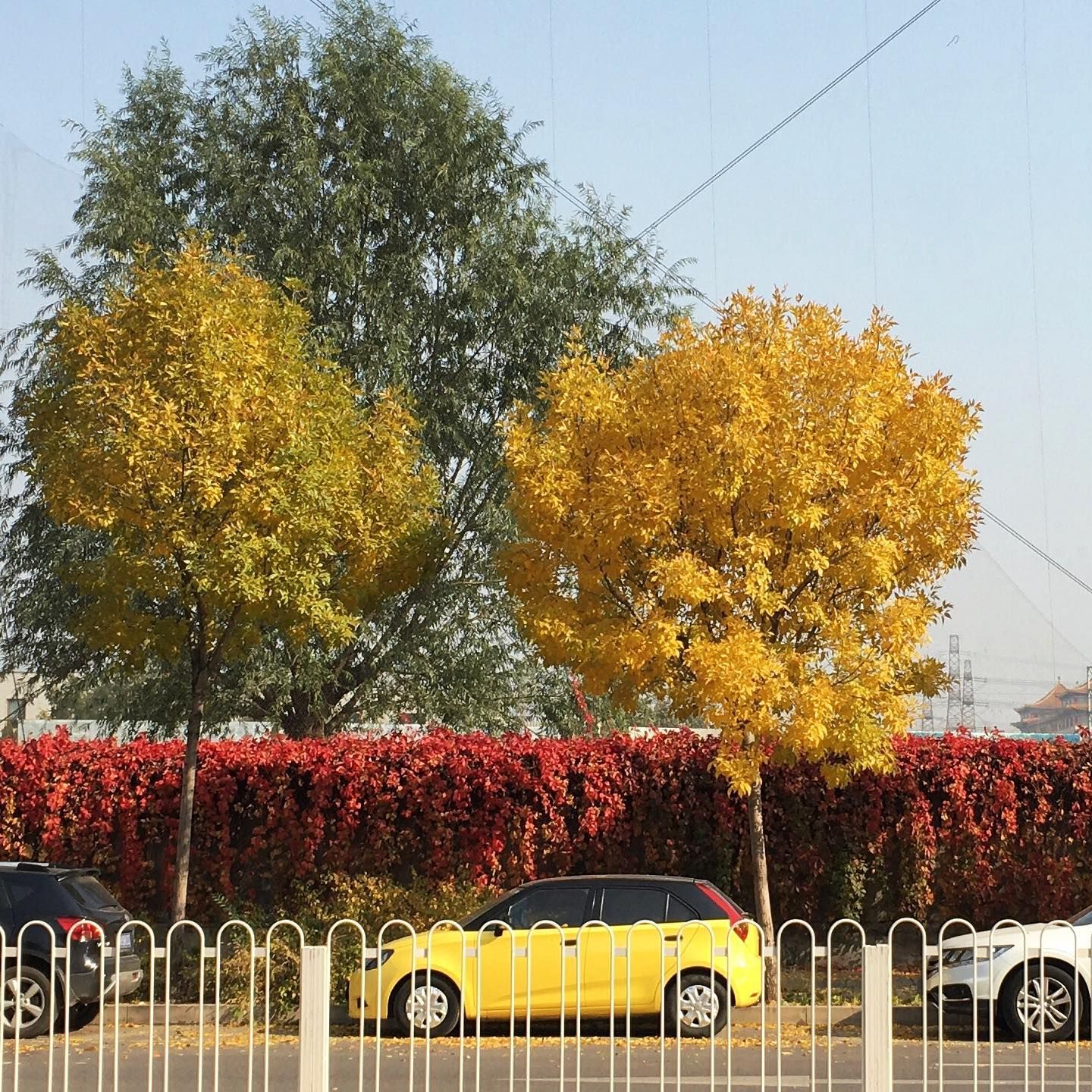 autumn2