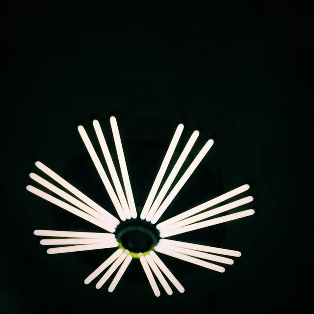 lights